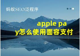 apple pay怎么使用面容支付