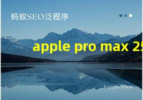 apple pro max 256