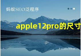 apple12pro的尺寸