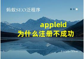 appleid为什么注册不成功