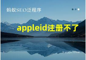 appleid注册不了