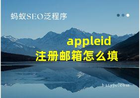 appleid注册邮箱怎么填