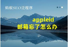 appleid邮箱忘了怎么办