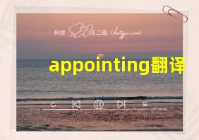 appointing翻译