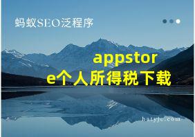 appstore个人所得税下载