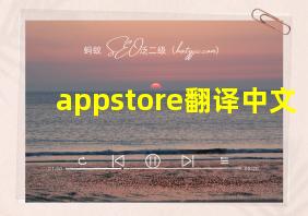 appstore翻译中文