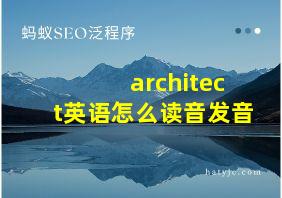 architect英语怎么读音发音