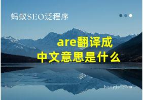 are翻译成中文意思是什么