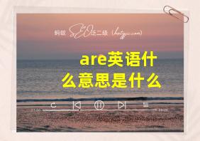 are英语什么意思是什么