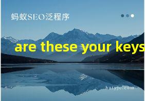 are these your keys翻译