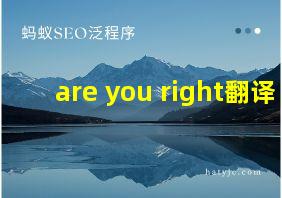 are you right翻译