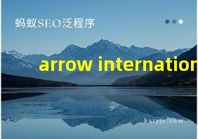 arrow international