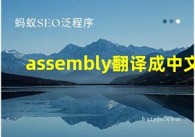 assembly翻译成中文