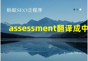 assessment翻译成中文