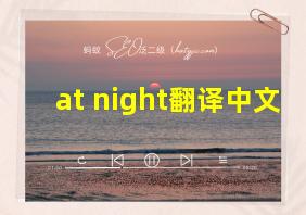 at night翻译中文