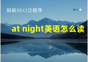 at night英语怎么读