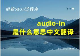 audio-in是什么意思中文翻译