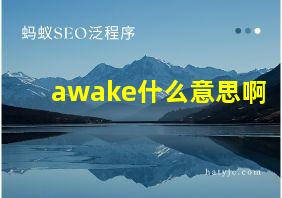 awake什么意思啊