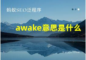 awake意思是什么