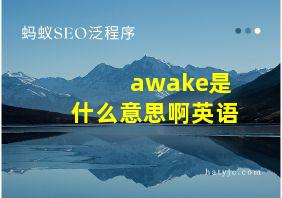 awake是什么意思啊英语