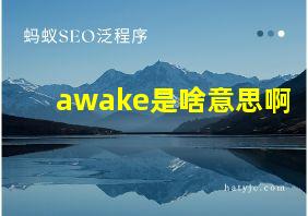 awake是啥意思啊