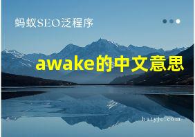 awake的中文意思