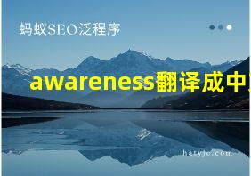 awareness翻译成中文