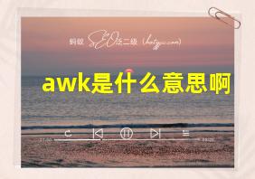 awk是什么意思啊