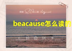 beacause怎么读的