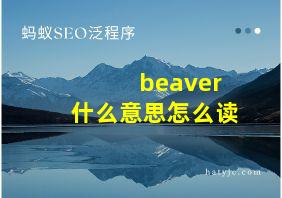 beaver什么意思怎么读