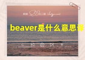 beaver是什么意思译