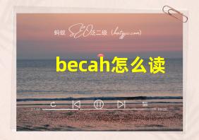 becah怎么读