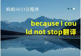 because i could not stop翻译