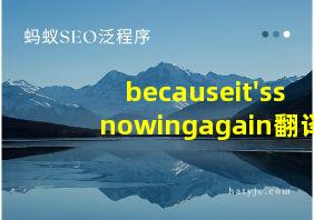 becauseit'ssnowingagain翻译