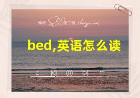 bed,英语怎么读