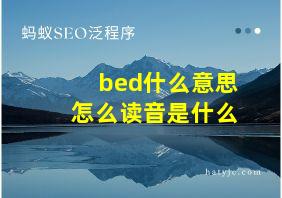 bed什么意思怎么读音是什么