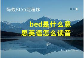 bed是什么意思英语怎么读音