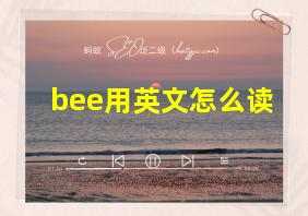 bee用英文怎么读