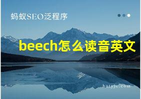 beech怎么读音英文