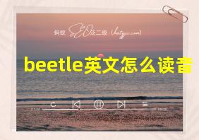 beetle英文怎么读音