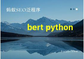 bert python