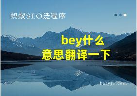 bey什么意思翻译一下