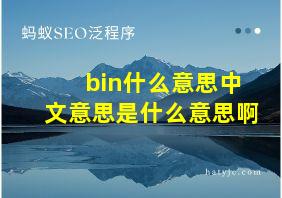 bin什么意思中文意思是什么意思啊