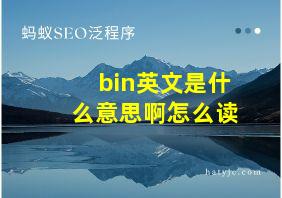 bin英文是什么意思啊怎么读