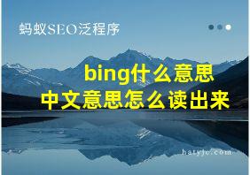 bing什么意思中文意思怎么读出来