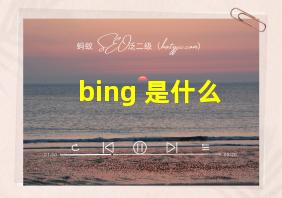 bing 是什么