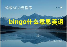 bingo什么意思英语