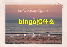 bingo指什么