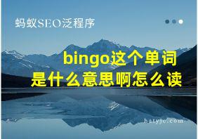 bingo这个单词是什么意思啊怎么读