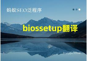 biossetup翻译